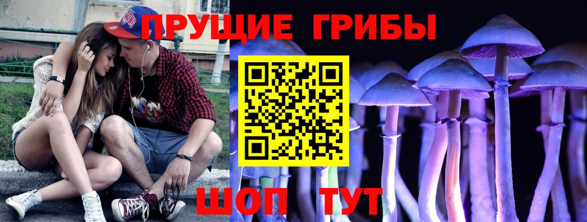 Галлюциногенные грибы Psilocybine cubensis  Вход с VPN  Норильск  Псилоцибиновые грибы Magic Shrooms 